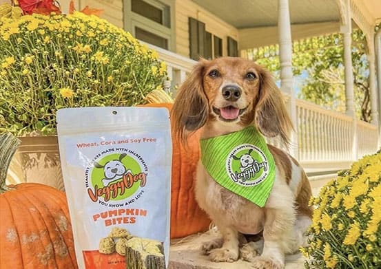 Benefits of Tummy-Friendly Pumpkin Dog Bites