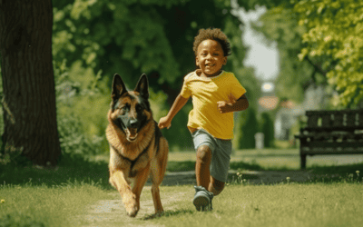 Cherishing Canine Companionship: The Joy of Dog Friendship